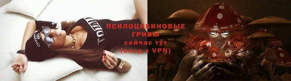 мдпв Богородск