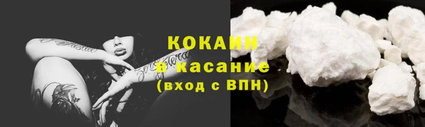 трава Богородицк