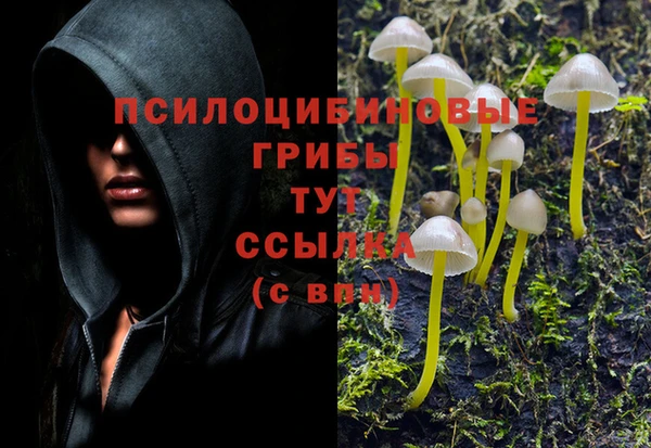марки nbome Богданович